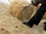 Cutting bales.jpg